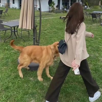 穿越时空的骑士